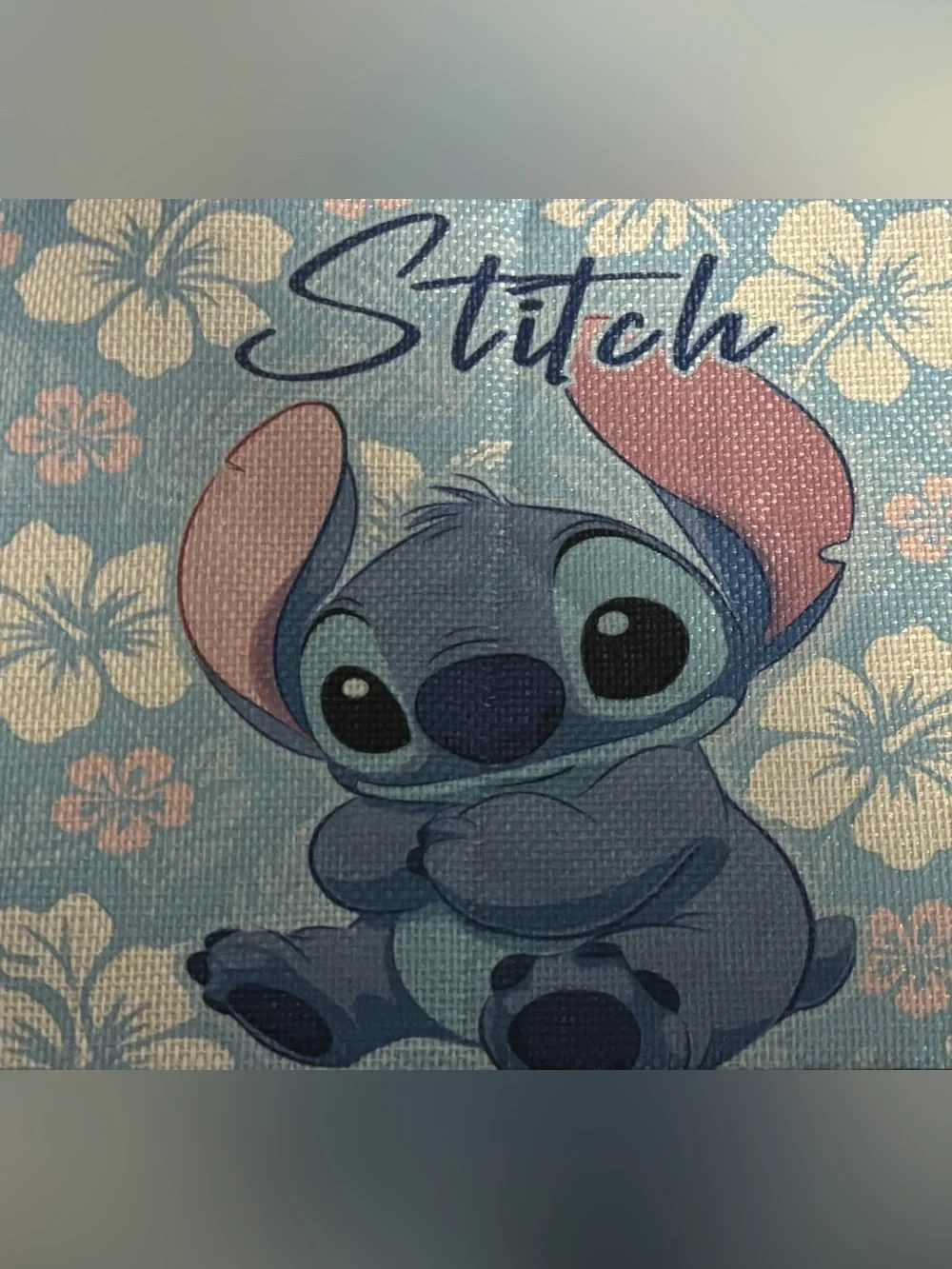 Stitch Cosmetic Pouch Beauty Bundle